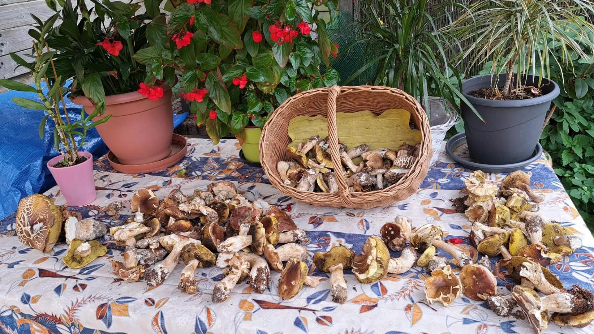 L'Ecrin Savoyard Villa Bonne Holiday home